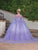 Dancing Queen 1746 - Butterfly Ornate Quinceanera Ballgown Special Occasion Dress