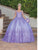 Dancing Queen 1746 - Butterfly Ornate Quinceanera Ballgown Special Occasion Dress
