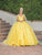 Dancing Queen 1750 - Sleeveless 3D Floral Embroidered Ballgown Ball Gowns