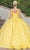 Dancing Queen 1750 - Sleeveless 3D Floral Embroidered Ballgown Ball Gowns