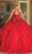 Dancing Queen 1761 - Sleeveless Halter Neck Ballgown Special Occasion Dress