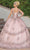 Dancing Queen 1763 - V-Neck Floral Glitter Ballgown Quinceanera Dresses