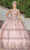 Dancing Queen 1763 - V-Neck Floral Glitter Ballgown Quinceanera Dresses XS / Rose Gold