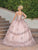 Dancing Queen 1763 - V-Neck Floral Glitter Ballgown Special Occasion Dress