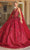 Dancing Queen 1764 - Embellished V-Neck Ballgown Quinceanera Dresses