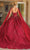 Dancing Queen 1764 - Embellished V-Neck Ballgown Quinceanera Dresses