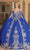 Dancing Queen 1768 - Gilt Applique Quinceanera Ballgown Ball Gowns XS / Royal Blue