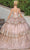 Dancing Queen 1770 - Floral Appliqued Tiered Ballgown Ball Gowns