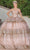 Dancing Queen 1770 - Floral Appliqued Tiered Ballgown Ball Gowns XS / Rose Gold