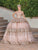 Dancing Queen 1770 - Floral Appliqued Tiered Ballgown Special Occasion Dress