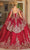 Dancing Queen 1781 - Sequin Embroidered Ballgown Ball Gowns
