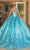 Dancing Queen 1784 - Cap Sleeve Glitter Quinceanera Ballgown Quinceanera Dresses