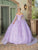 Dancing Queen 1787 - 3D Floral Embroidered Off-Shoulder Ballgown Special Occasion Dress