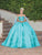Dancing Queen 1791 - Bow Sash Quinceanera Ballgown Special Occasion Dress