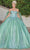 Dancing Queen 1793 - Fitted Off-Shoulder Bodice Ballgown Special Occasion Dress
