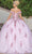 Dancing Queen 1797 - Sweetheart Floral Appliqued Ballgown Ball Gowns