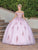 Dancing Queen 1797 - Sweetheart Floral Appliqued Ballgown Special Occasion Dress