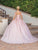 Dancing Queen 1804 - Bow Sequin Quinceanera Ballgown Special Occasion Dress