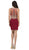 Dancing Queen - 2000 Mock Two-Piece Illusion Lace Cocktail Dress Special Occasion Dress