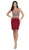 Dancing Queen - 2000 Mock Two-Piece Illusion Lace Cocktail Dress Special Occasion Dress XS / Burgundy
