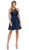 Dancing Queen - 2010 Lace Illusion Halter A-Line Cocktail Dress Cocktail Dresses XS / Navy