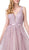 Dancing Queen - 2596 Illusion Plunging Neck Floral Applique Tulle Gown Special Occasion Dress