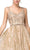 Dancing Queen - 3222 Embroidered V-neck A-line Cocktail Dress Homecoming Dresses