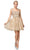 Dancing Queen - 3222 Embroidered V-neck A-line Cocktail Dress Homecoming Dresses XS / Rose Gold
