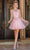 Dancing Queen 3303 - Embroidered V-Neck Tulle Cocktail Dress Special Occasion Dress XS / Blush