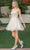 Dancing Queen 3314 - V-Neck Sheer Side A-Line Cocktail Dress Special Occasion Dress XS / Champagne