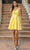 Dancing Queen 3320 - Pleated V-Neck A-Line Cocktail Dress Special Occasion Dress