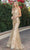 Dancing Queen 4275 - Sleeveless V-Neck Mermaid Dress Special Occasion Dress