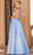 Dancing Queen 4326 - Lace Appliqued V-Neck Prom Gown Special Occasion Dress