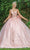 Dancing Queen - Bow Embellished Ballgown 1648  - 1 pc Lilac In Size L Available CCSALE L / Lilac