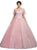 Dancing Queen - Sheer Butterfly Sleeve Embellished Quinceanera Ballgown 1203 - 1 pc Blush In Size S Available CCSALE S / Blush