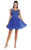 Dancing Queen Sheer Floral Applique Cocktail Dress 8881 - 1 pc Mint In Size 3XL Available CCSALE 3XL / Mint