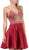 Dancing Queen - Vertical Beaded A-line Homecoming Dress 3009 - 1 pc Burgundy In Size S Available CCSALE S / Burgundy