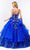 Elizabeth K - GL1927 Glitter Bow-Ornate Draped Ballgown Special Occasion Dresses