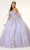 Elizabeth K - GL1944 Embroidered Sweetheart Gown With Detached Sleeves Quinceanera Dresses XS / Lilac