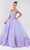 Elizabeth K - GL1960 Floral Ombre Ballgown Special Occasion Dresses
