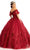 Elizabeth K GL1975 - Floral Glitter Ballgown Special Occasion Dress