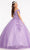 Elizabeth K GL1988 - Sweetheart Floral Prom Ballgown Special Occasion Dress