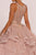 Elizabeth K - GL2513 Illusion Jewel-Ornate Appliqued Ballgown Special Occasion Dress