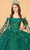 Elizabeth K GL3075 - Draped Sheer Sleeves Ballgown Special Occasion Dress