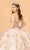 Elizabeth K GL3077 - Golden Appliqued Ballgown Special Occasion Dress