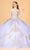 Elizabeth K GL3078 - Tulle Cape Ballgown Special Occasion Dress XS / Purple
