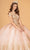Elizabeth K GL3079 - Golden Embroidered Ballgown Special Occasion Dress