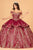 Elizabeth K GL3098 - Two-Way Skirt Ballgown Special Occasion Dress