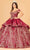 Elizabeth K GL3098 - Two-Way Skirt Ballgown Special Occasion Dress XS / Burgundy/Gold