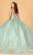 Elizabeth K GL3100 - Basque Waist Ballgown Special Occasion Dress